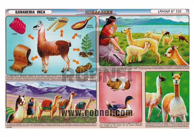 Ganaderia Inca